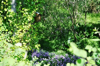 Craigmhor Lodge & Courtyard,Perth>>Kinloch Rannoch,4 star