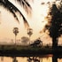wanlapa farmstay