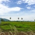 wanlapa farmstay