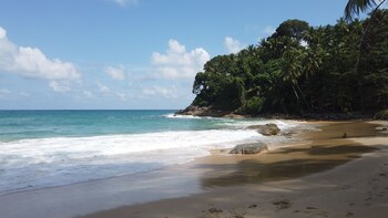 more patong hotel
