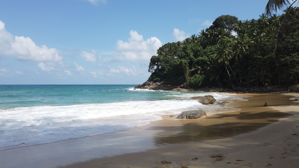 more patong hotel