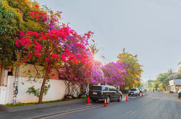 ladear privilege rooms