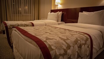 trakya city hotel