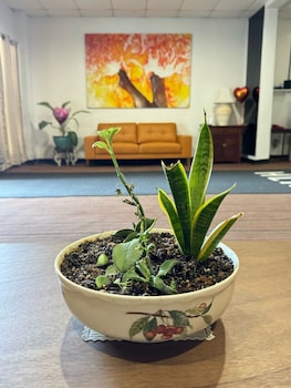 new harmon loop hotel