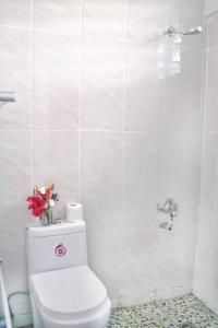 Hotel-Img