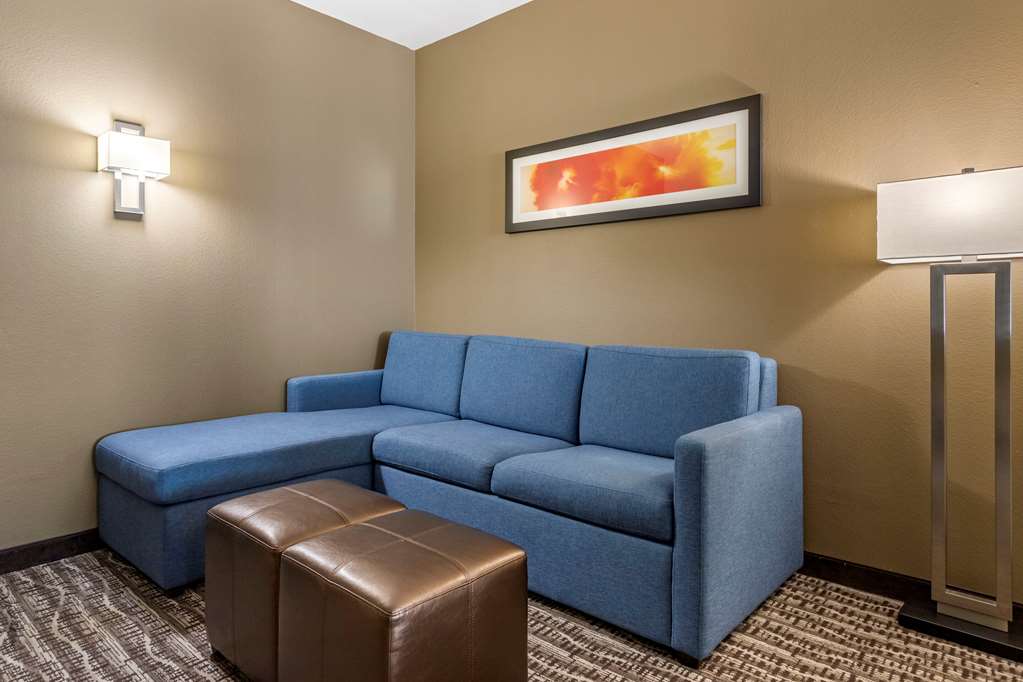 comfort suites near sam houston race park