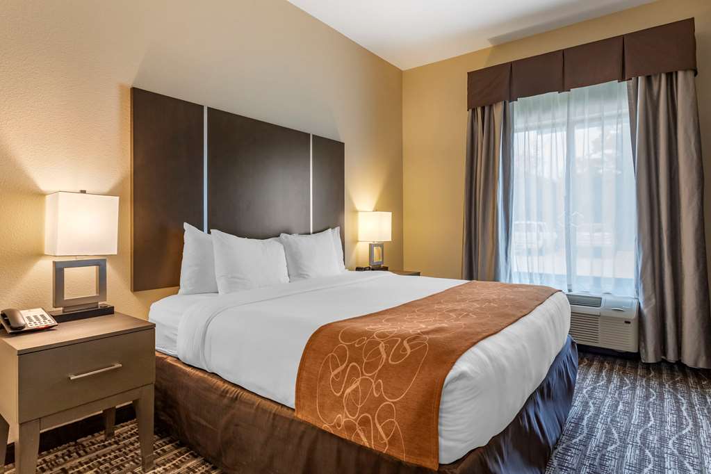 comfort suites near sam houston race park