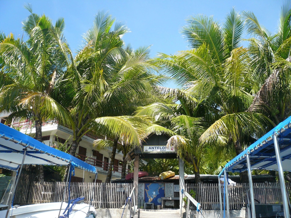 antelope guesthouse