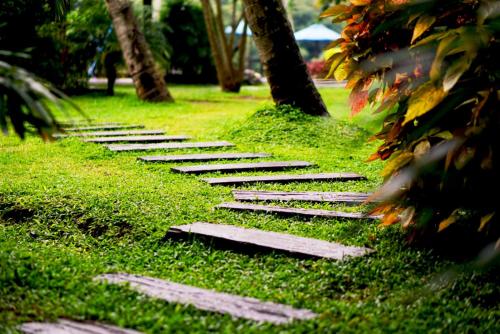 serendip stone hotel and bungalow