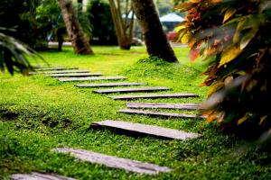 serendip stone hotel and bungalow
