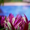 serendip stone hotel and bungalow