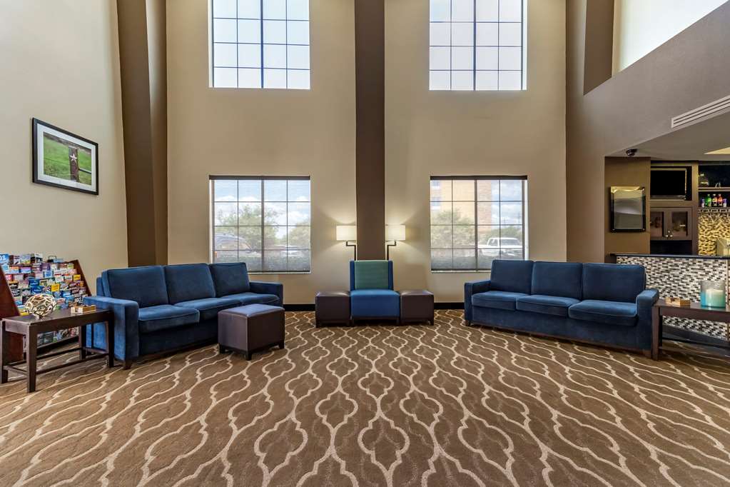 comfort suites buda austin south