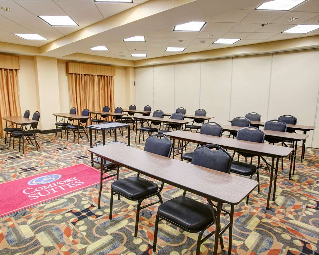 comfort suites buda austin south
