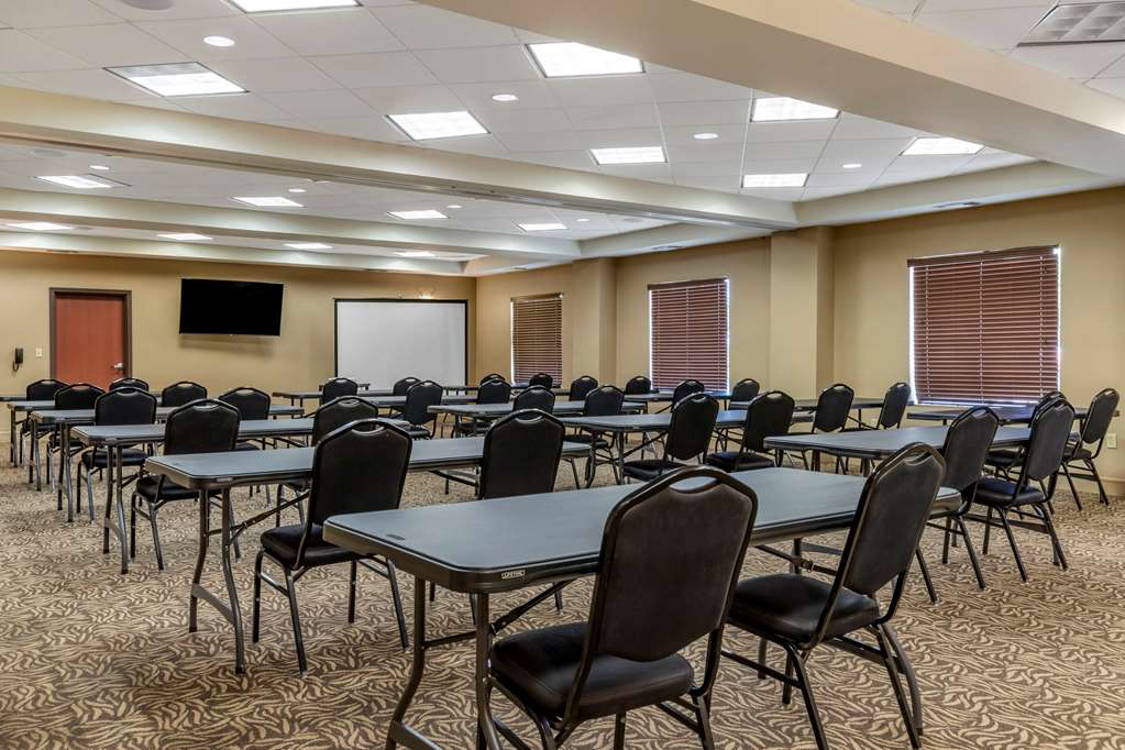 comfort suites buda austin south