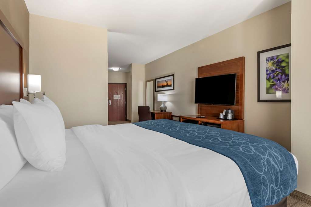 comfort suites buda austin south