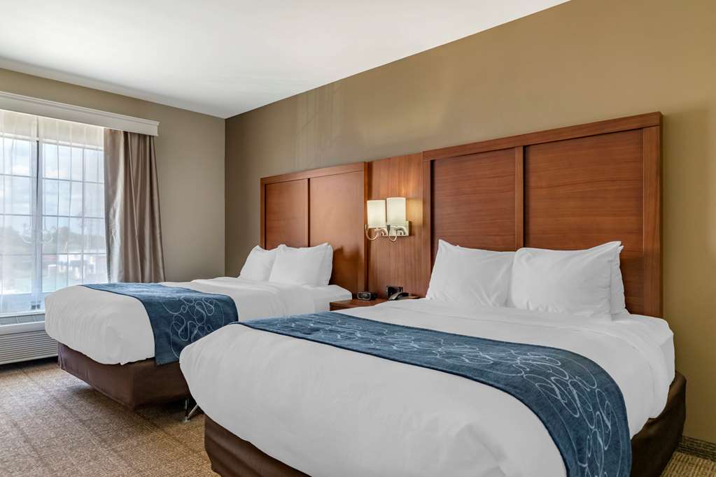 comfort suites buda austin south