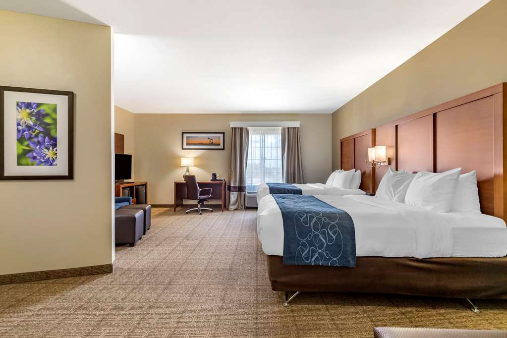 comfort suites buda austin south
