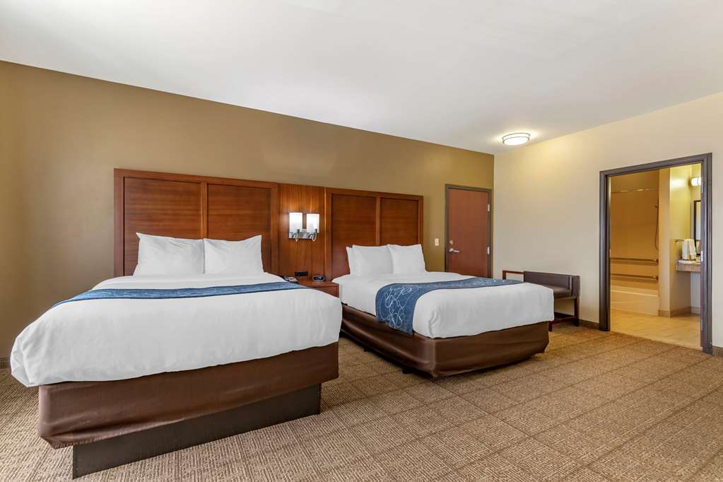 comfort suites buda austin south