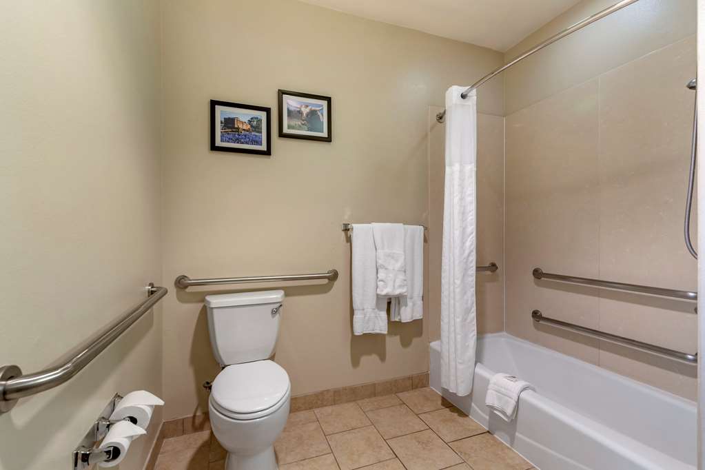 comfort suites buda austin south