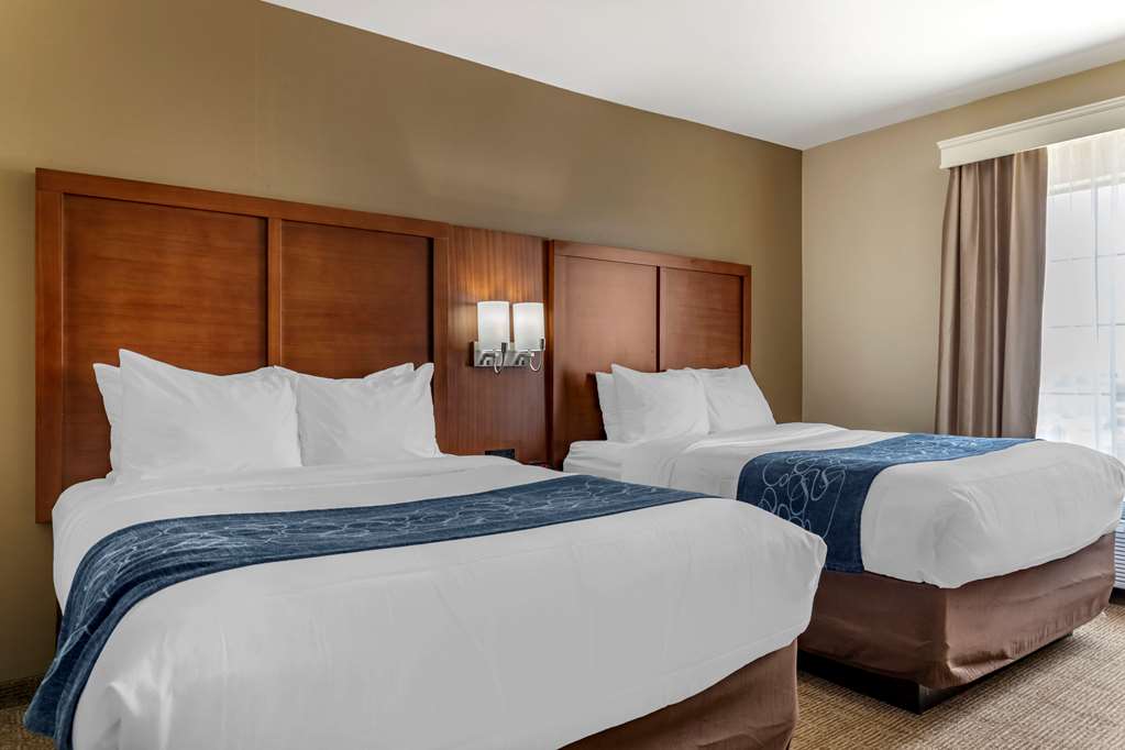 comfort suites buda austin south