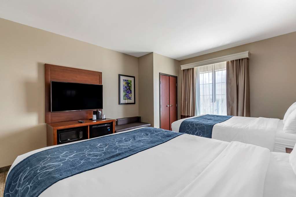 comfort suites buda austin south