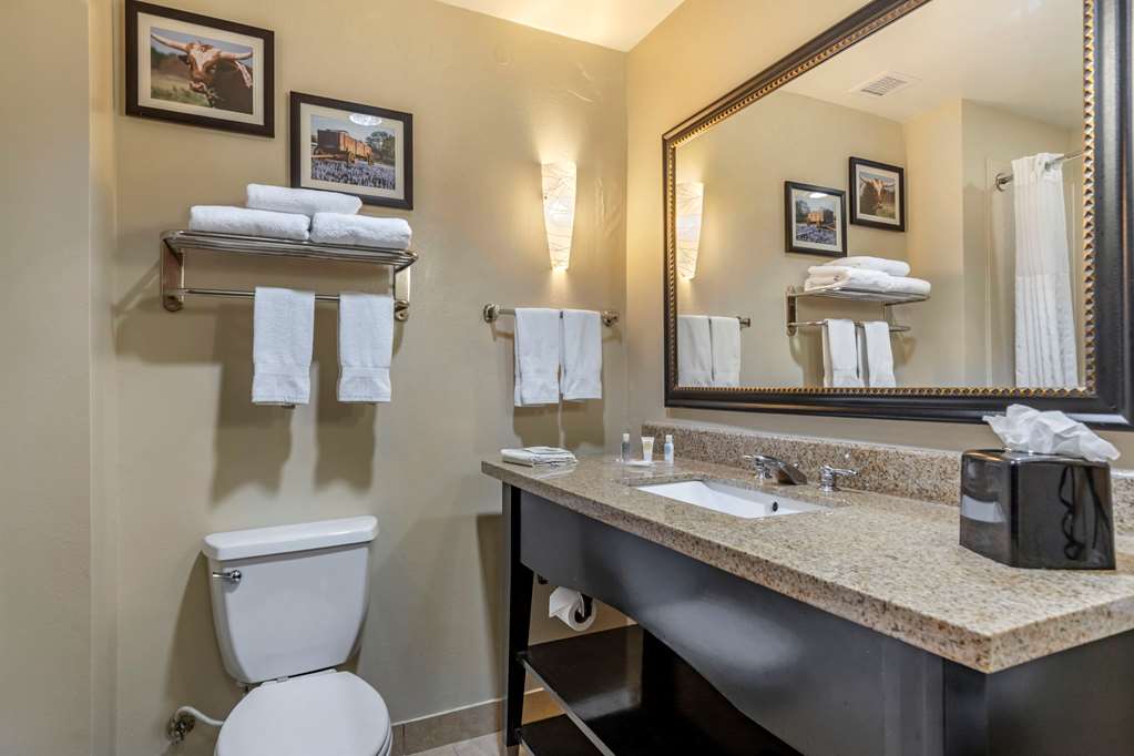 comfort suites buda austin south