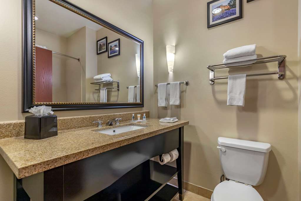 comfort suites buda austin south
