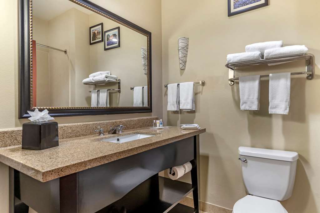 comfort suites buda austin south