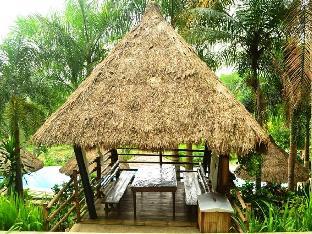 damires hills tierra verde
