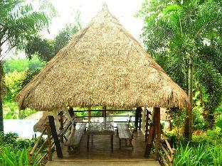 damires hills tierra verde