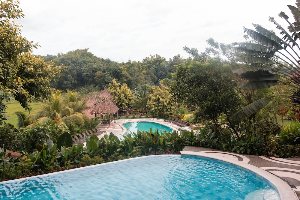 damires hills tierra verde