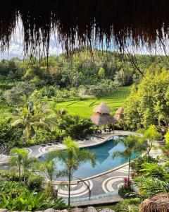 damires hills tierra verde