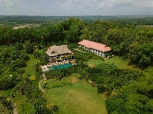 damires hills tierra verde