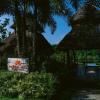damires hills tierra verde