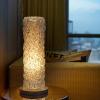 ascott orchard singapore