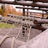 norrtalje