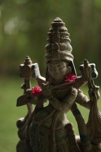 santani wellness kandy