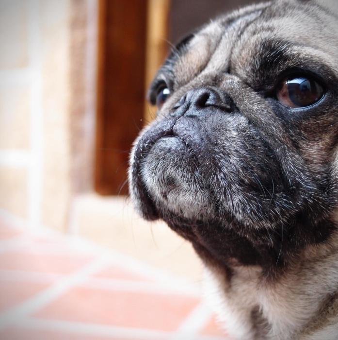 kinba guest house