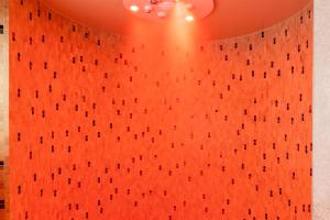 best western hotel and spa coeur de cassis