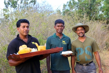 ruhunu safari camping udawalawe