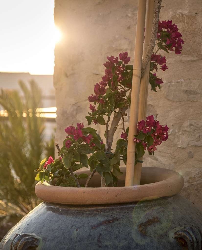allium bodrum resort and spa