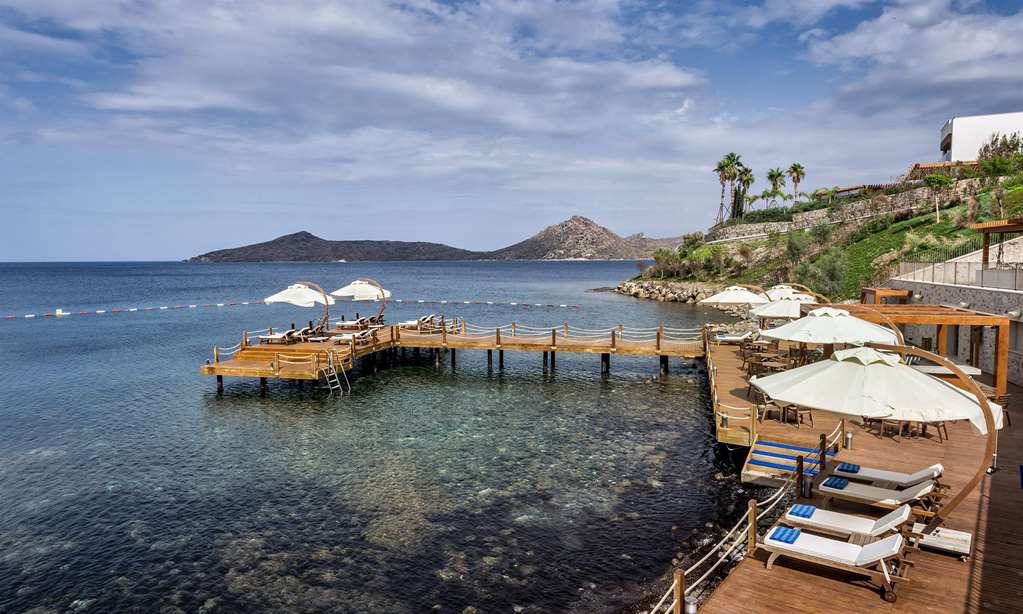 allium bodrum resort and spa