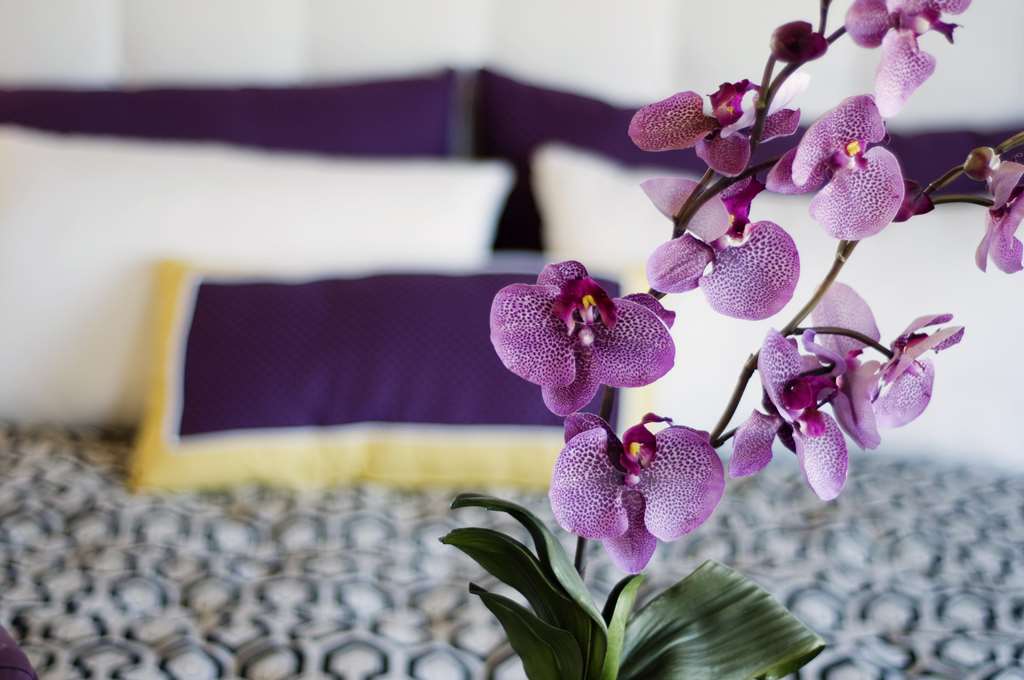 allium bodrum resort and spa