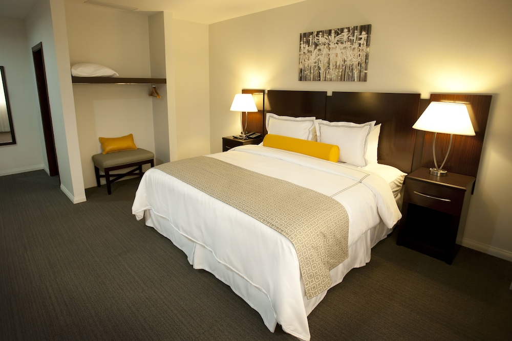 hotel los andes