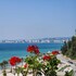 vlore