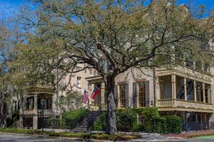 savannah