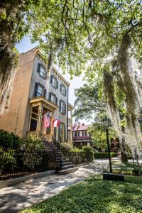 savannah