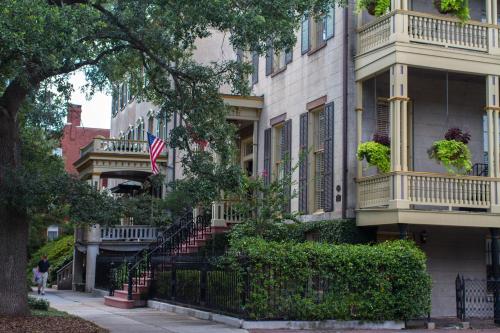 savannah
