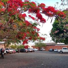 leme plaza hotel