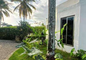 las terrenas
